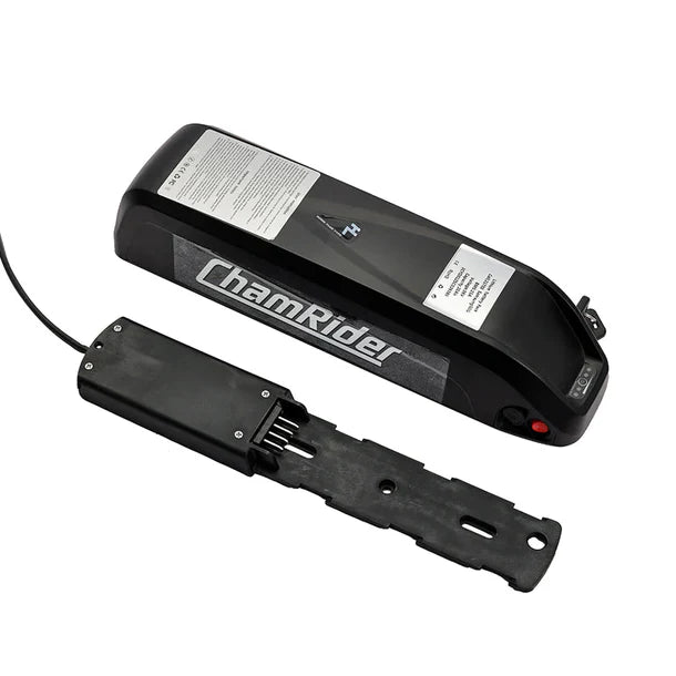 48V 1000W 15Ah (HL1) Battery