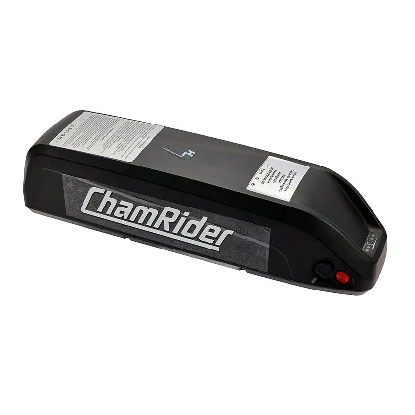 48V 1000W 15Ah (HL1) Battery