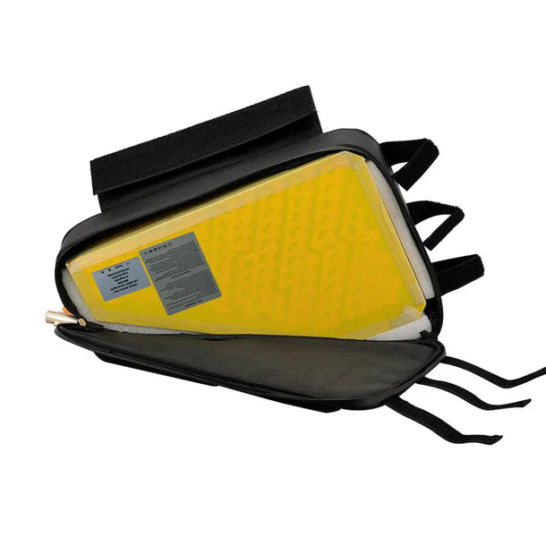 48V 2000W 35Ah Triangle Battery